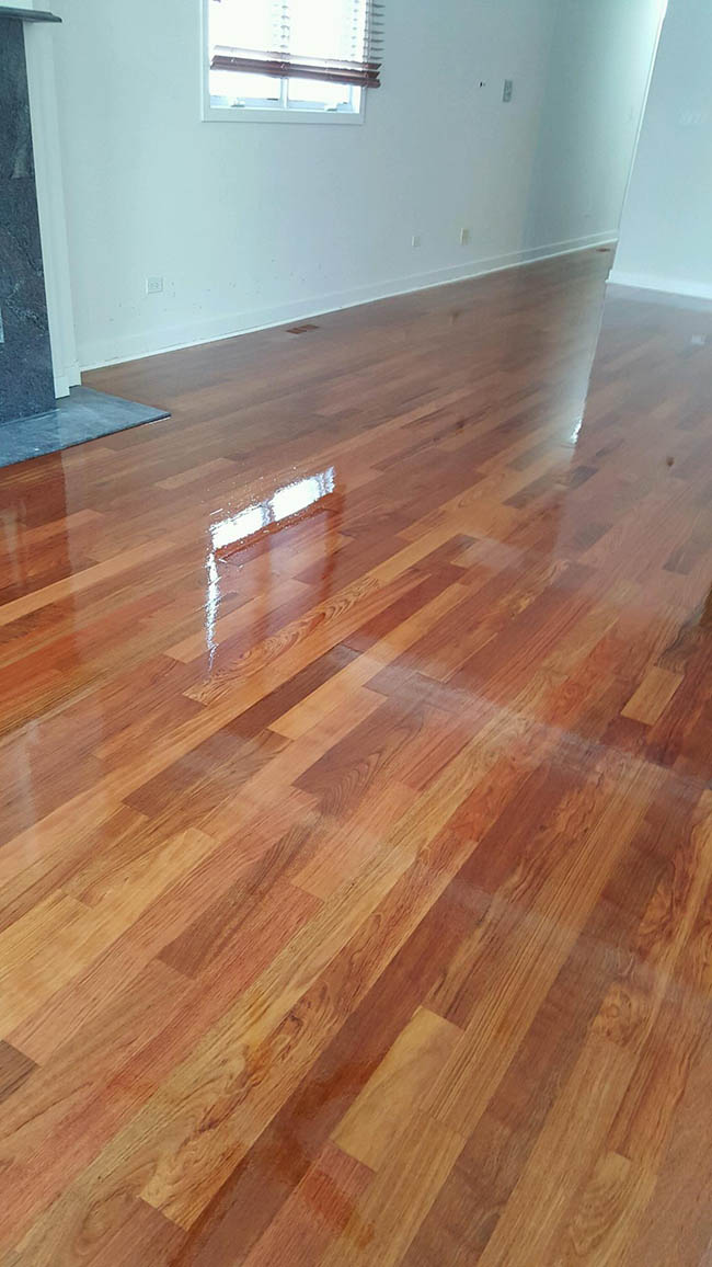 Brazilian cherry hardwood floor refinished by Midwest Hardwood Floors in a Chicago home